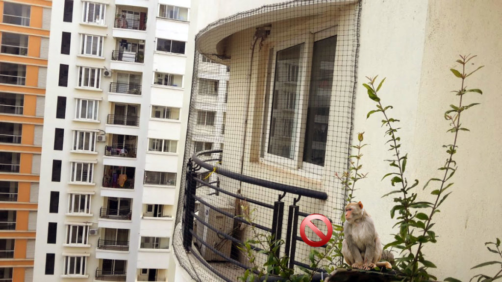 Monkey Protection Nets for Balcony | Call 8105172003 fixing in Bangalore