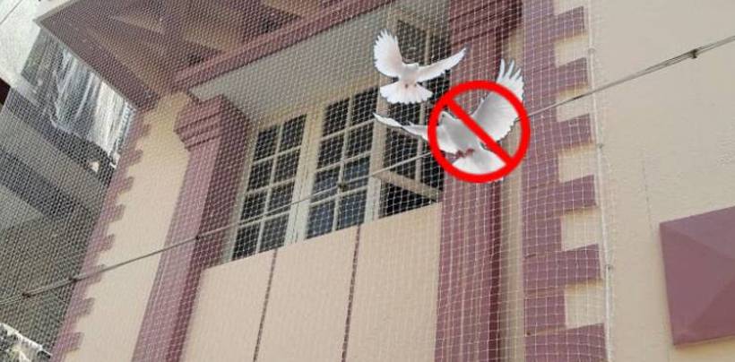 Pigeon Net Installation In Bangalore | Call 8105172003 for Best Quality Net 